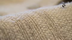 10001364_20170715172044w0010.jpg