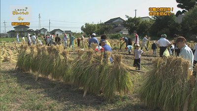 9月トラック・稲刈り.bmp