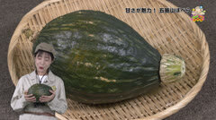 ATAN-008.jpg